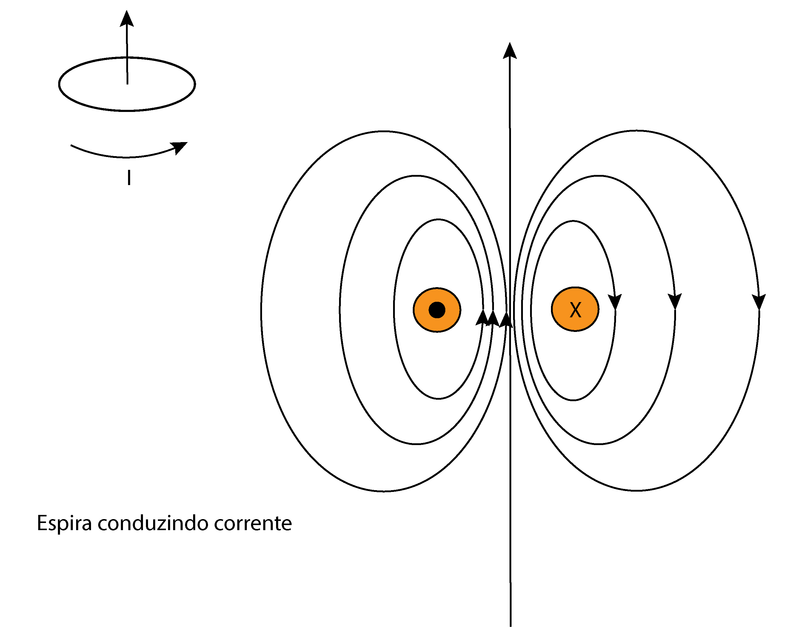 Anisotropia diamagnética (vídeo)